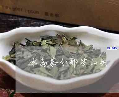 跟冰岛茶类似的山头-跟冰岛茶类似的山头茶是什么