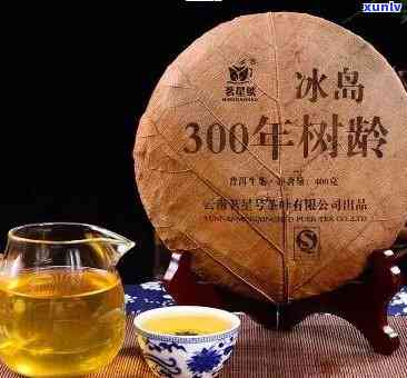 300年古树冰岛茶-300年古树冰岛茶多少钱一斤