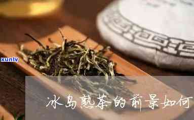 冰岛为什么没有熟茶-冰岛为什么没有熟茶卖