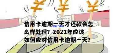 普洱茶在海外市场的销量分析：全球占比、地区差异与市场趋势