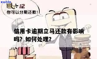 信用卡逾期后立马还钱-信用卡逾期后立马还钱会怎么样