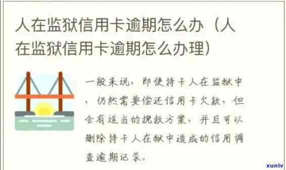 刑满释放后信用卡多久之内还，刑满释放后的信用卡还款期限规定