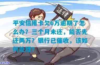 平安银行信用卡60000欠2年，8000逾期2年，6万逾期3个月，现能先还2万吗？1w额度逾期3年，会找到本人吗？