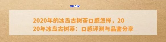 2020年的冰岛古树茶口感怎样，探秘2020年冰岛古树茶：口感如何？