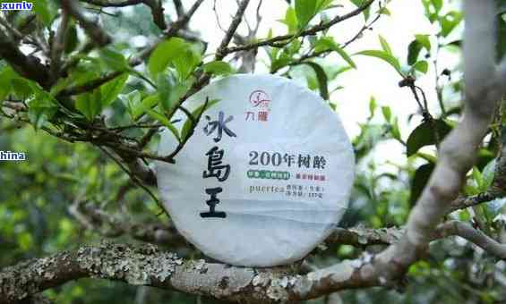 易武茶好还是冰岛茶好，冰岛茶 vs 易武茶：哪一种更好？