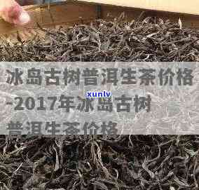 冰岛老树普洱茶生茶价格及特点分析