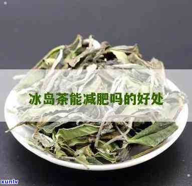 全面指南：如何正确品尝与饮用小青普洱茶，以获得效果