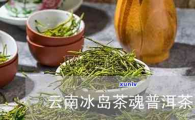 云南思饮茶厂产品怎么样？冰岛、思源茶全面评测与 *** 版介绍