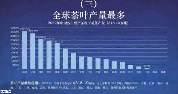 世界十大茶叶排行榜2022：全球茶叶