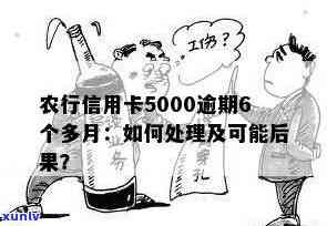 农行信用卡5000逾期6个月：还款金额、处理方式及可能后果