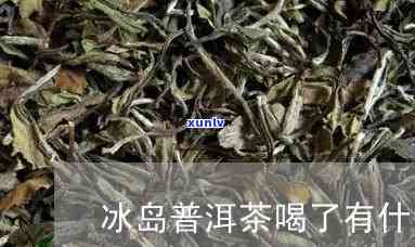 探秘普洱茶的发源地——无量山：品味自然馈赠的珍品茶叶