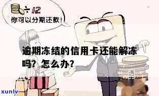 信用卡逾期1年解冻-信用卡逾期1年解冻需要多久