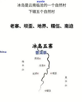 冰岛茶：产地、价格、口感及五寨排名全解析