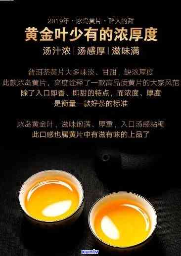 金冰岛熟茶什么口味最美味？