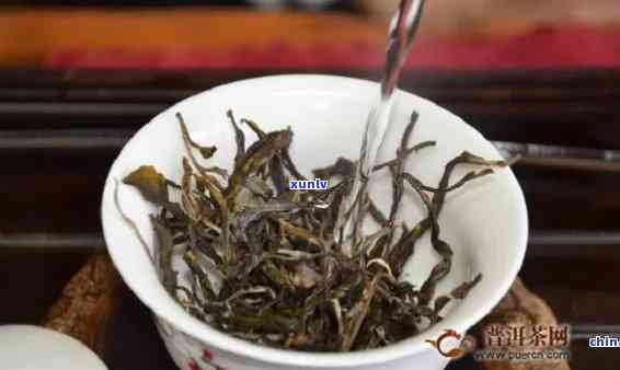 临沧冰岛茶特点，探秘临沧冰岛茶的独特魅力与特点