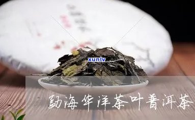 勐海勐普神韵茶普洱价格 - 357克，勐海勐普神韵茶厂产品，勐旨神韵普洱茶，勐海神韵茶叶官网