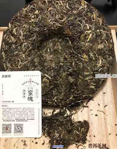 吉普号生茶怎么样？口感如何，是否值得一试？