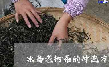 如何冲泡冰岛古树茶-如何冲泡冰岛古树茶叶