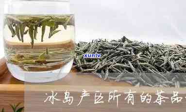 冰岛有什么品种的茶类，探索冰岛独特的茶类品种