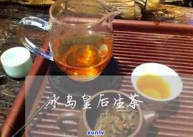 冰岛皇后喝什么茶好-冰岛皇后是什么茶