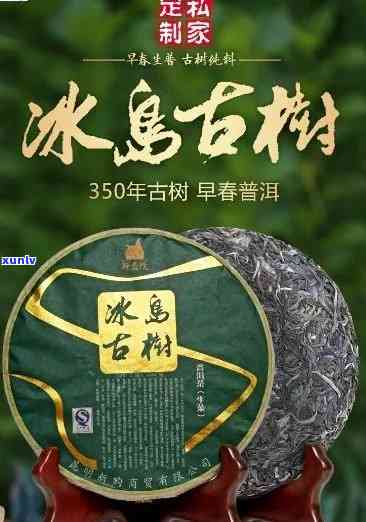 2006年冰岛老茶价格，回顾2006年：冰岛老茶的价格走势与市场分析