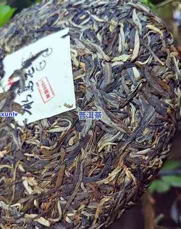 冰岛老寨茶价格，探究冰岛老寨茶的价格：一探究竟！