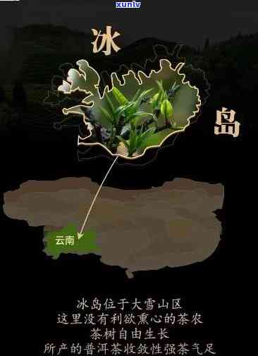 云南冰岛茶产地在哪里，揭秘云南冰岛茶的产地，带你走进神秘的茶叶世界