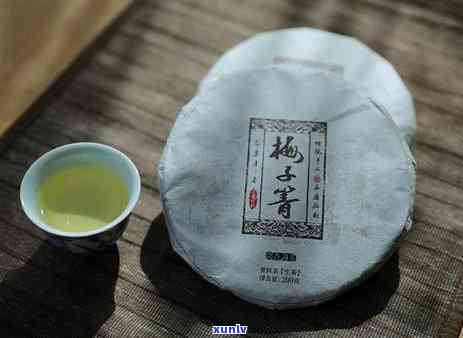 临沧冰岛茶多少钱一斤，探究价格：临沧冰岛茶每斤售价多少？