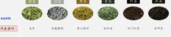 茶叶价格等级，从入门到精通：解析茶叶价格等级的奥秘