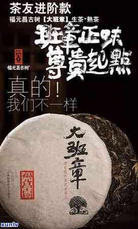 中茶名山系列之冰岛：冰岛山青饼、普洱茶、五寨价格与茶王介绍