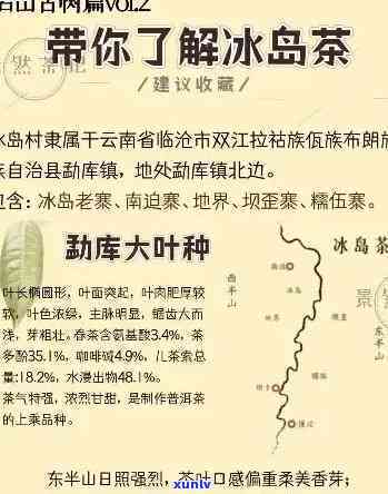 云南冰岛茶产地在哪？介绍、价格与所属茶山全揭秘！