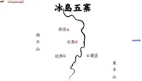 冰岛和勐海茶：口感对比与产地解析