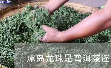 冰岛龙珠茶是绿茶不-冰岛龙珠茶是绿茶不