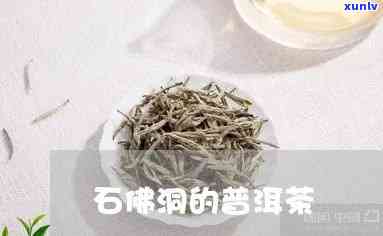 石佛洞的茶怎么样，探秘石佛洞：品尝其独特的茶叶口感