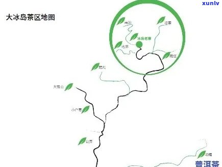 冰岛是哪个山头的茶？探究其、产地与分类