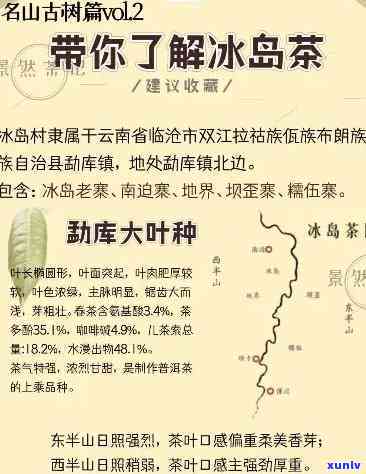 冰岛是哪个山头的茶？探究其、产地与分类