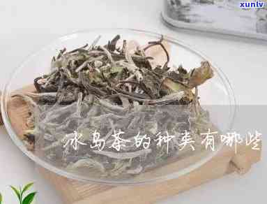 冰岛茶的种类和功效是什么，探索冰岛茶的多样性：种类与健益处