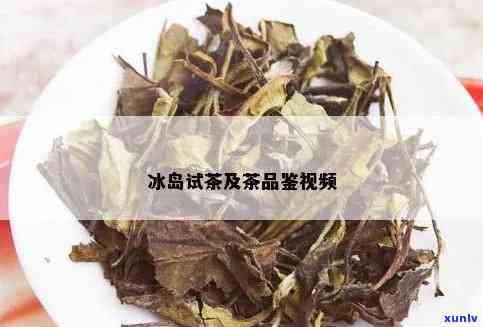 冰岛茶的种类和功效是什么，探索冰岛茶的多样性：种类与健益处