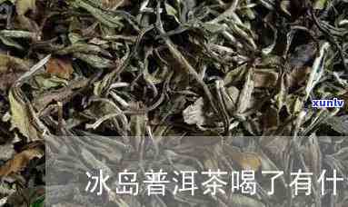 冰岛茶有什么好处吗-冰岛茶有什么好处吗百度百科