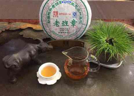 冰岛是属于什么茶种-冰岛是属于什么茶种类