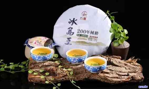 冰岛古茶有几个寨子-冰岛古茶有几个寨子组成