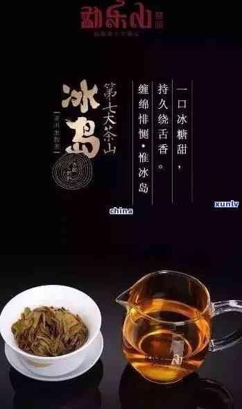 冰岛茶简介及特点：探索神秘的冰岛茶世界