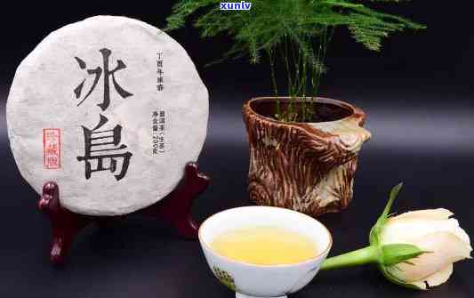 冰岛茶更便宜的时候-冰岛茶更便宜的时候卖多少钱