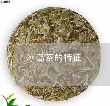 冰岛茶的特色是什么-冰岛茶的特色是什么呢