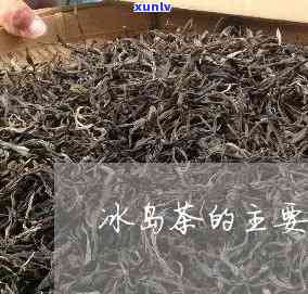 冰岛茶的特色是什么-冰岛茶的特色是什么呢