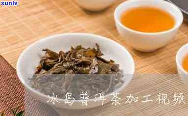 冰岛古树茶加工视频-冰岛古树茶加工视频大全