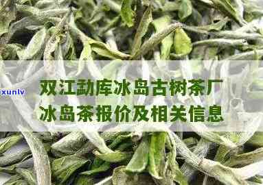 双江冰岛南破茶价格-双江冰岛普洱茶