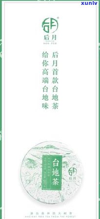 冰岛品什么茶好喝-冰岛品什么茶好喝一点