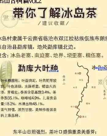 冰岛茶产地地图，探索冰岛茶田：揭秘全球唯一冰岛茶产地地图