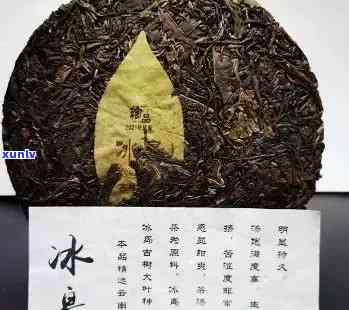 冰岛900年古树茶：价格、历与价值全解析